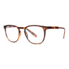 Stylish tortoiseshell reading glasses I Need You TAILOR G64900, designed for personalized vision and high-grade optical performance.