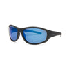 INVU IA2105 L sunglasses with blue polarized lenses and sleek black frame for ultimate visual clarity.