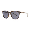 INVU IB22438 C sunglasses with ultra-polarized lenses featuring a stylish tortoiseshell design for enhanced color contrast.