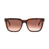 UC Eyewear U71002 770 sunglasses in tortoise frame with gradient lenses, offering luxury style and UV protection.